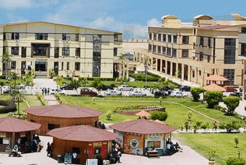 Delta University for Science and Technology Faculty of Medicine